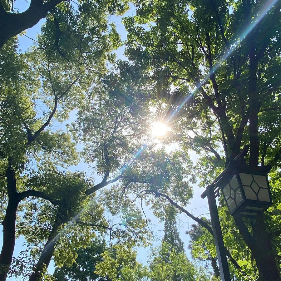 善良是流动的暖阳，你传递的善意终会照亮归途。善念是星，点亮得越多，越能驱散黑暗；