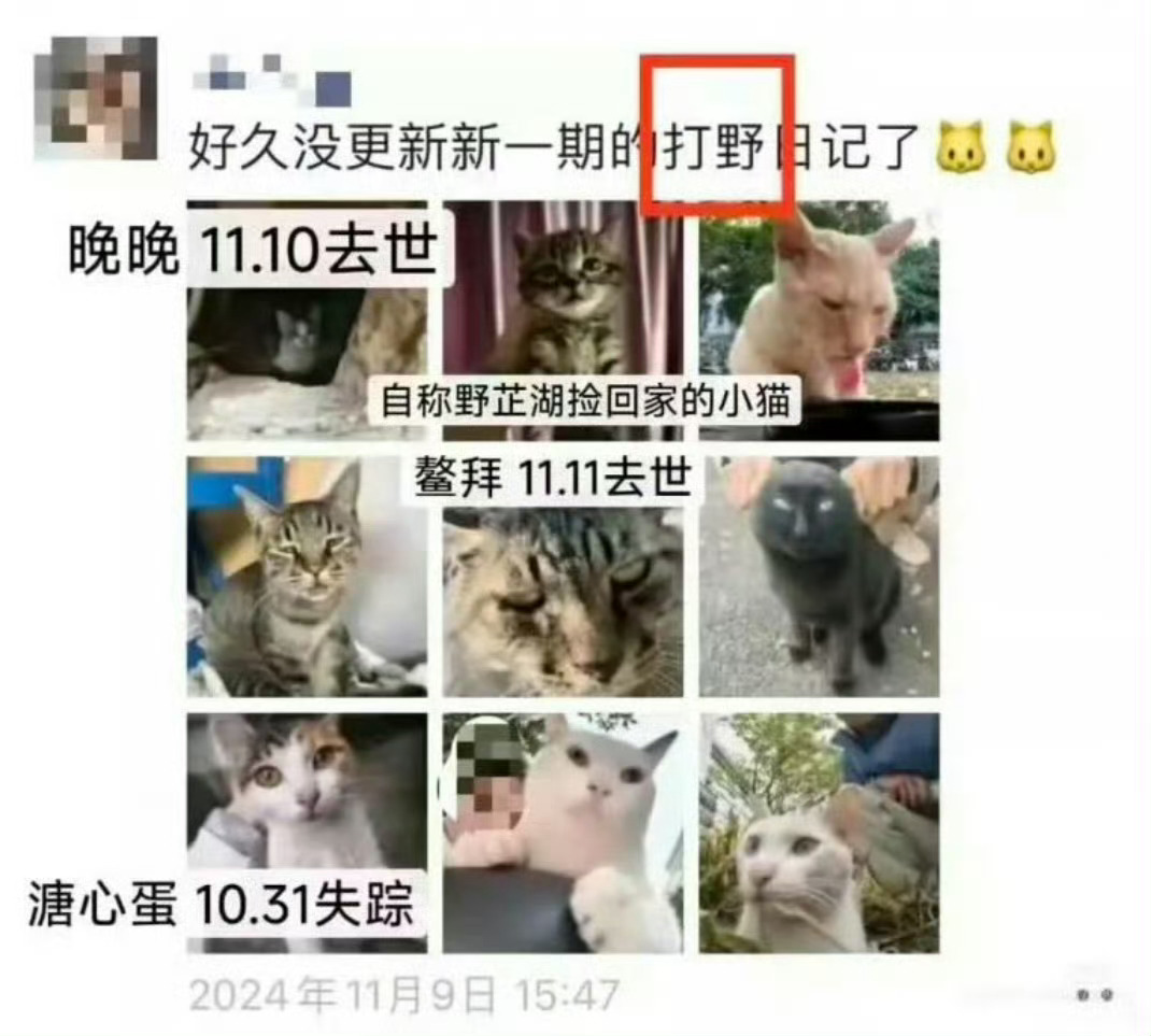 虐猫考生上岸失败系道德品行等问题现在拿虐猫练手 以后就敢在饮水机下毒 ​​​