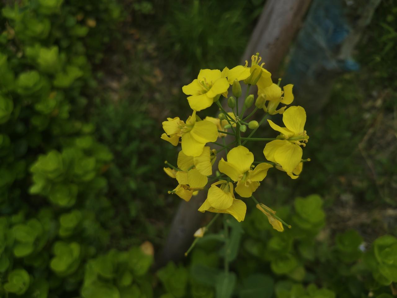 打羽毛球的好处是什么? 打羽毛球好处那可太多了！首先是减压抗焦虑，超大规模调查显
