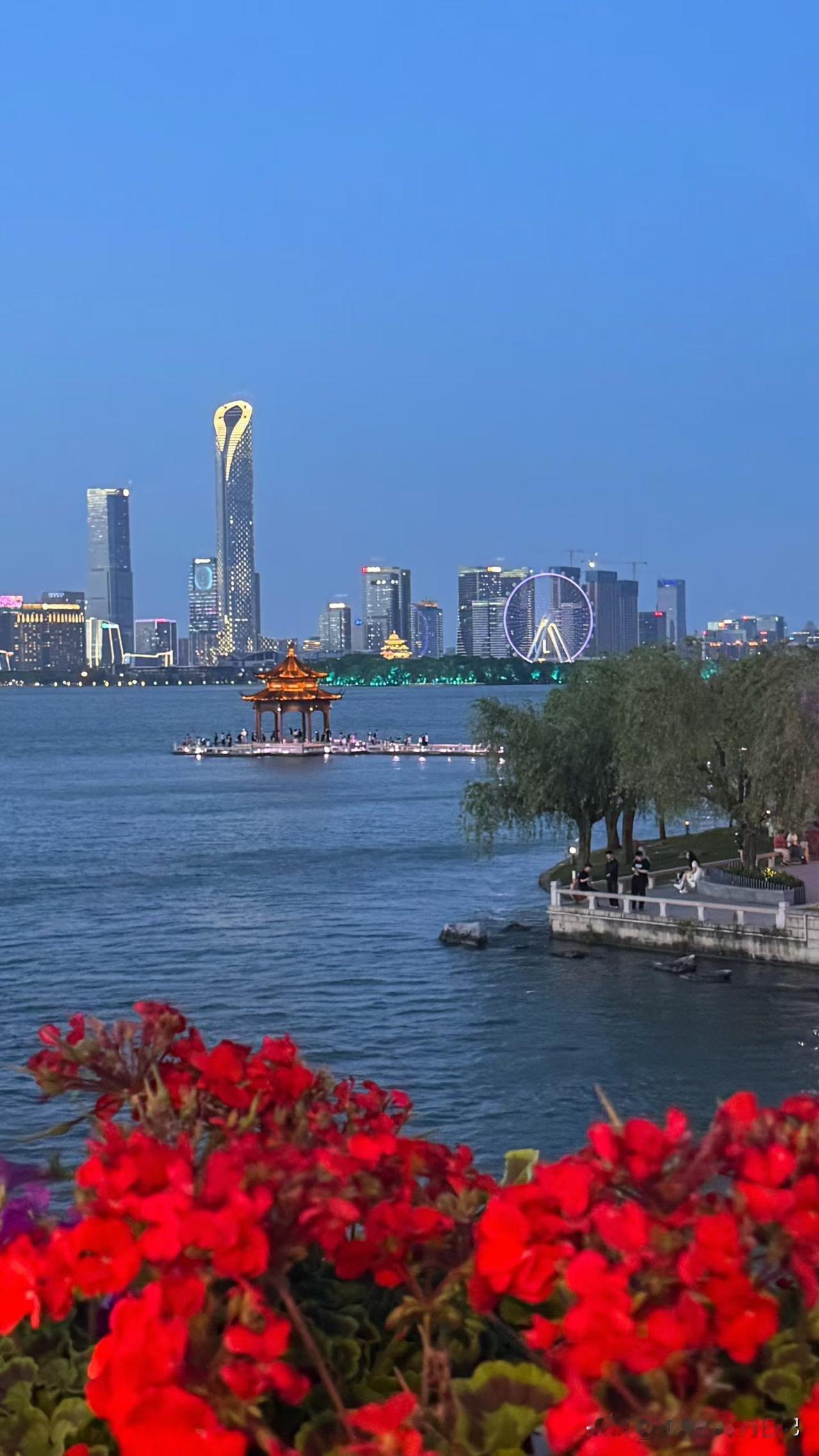今天特别特别开心，给儿子发了一个红包，虽然红包不大，他却也很开心，他说期末考试成