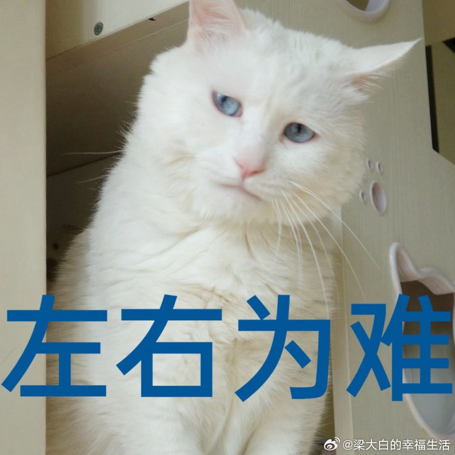 去徒步的午饭带饺子好呢还是带鸡肉卷呢？我想吃饺子，可又怕会不会被人笑话啊