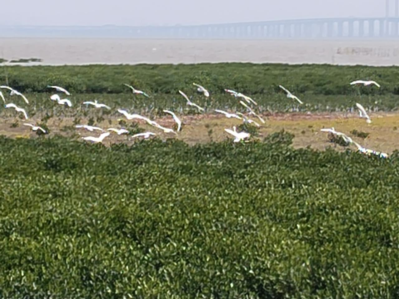 捕捉日常的闪亮碎片，让平凡的每一刻都成为故事。定格平凡瞬间，收藏人间烟火。