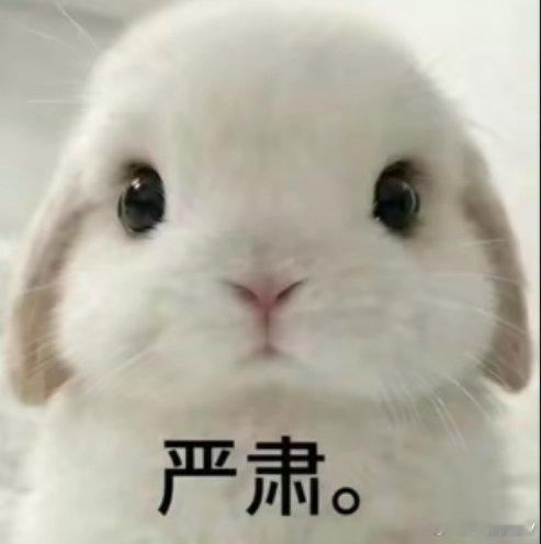 事以密成事以密成，看到好多萌萌人聊开心了就都秃噜出去了[笑cry] 不用说那么多