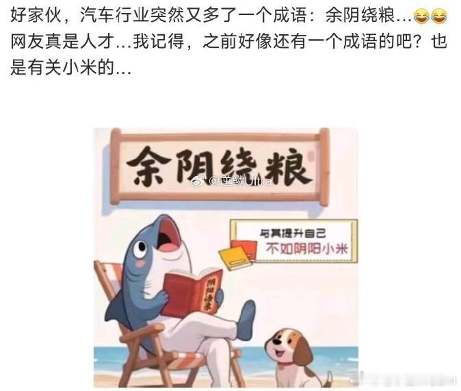 汽车行业新成语：余阴绕粮……与其提升自己，不如阴阳小米，我直接蚌埠住了…… ​​