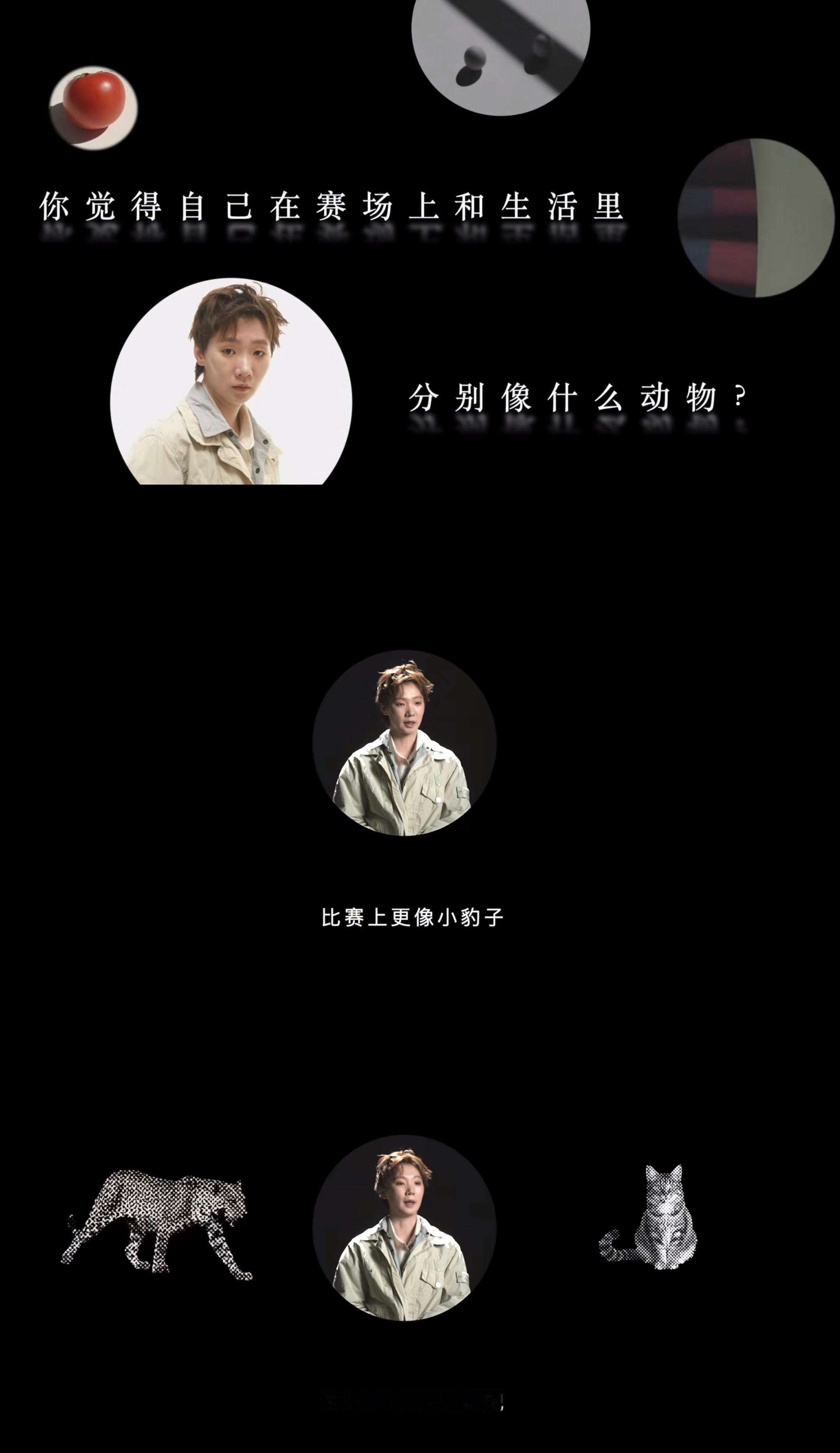 认证猫科塑🈶 ​​​