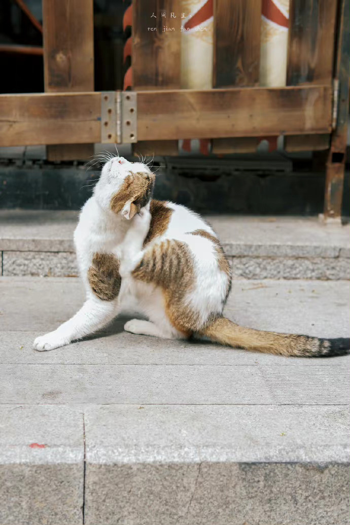 不管你现在多大年纪，生活其实有无限可能！选择自己要过的生活，是人生最重要的事。—