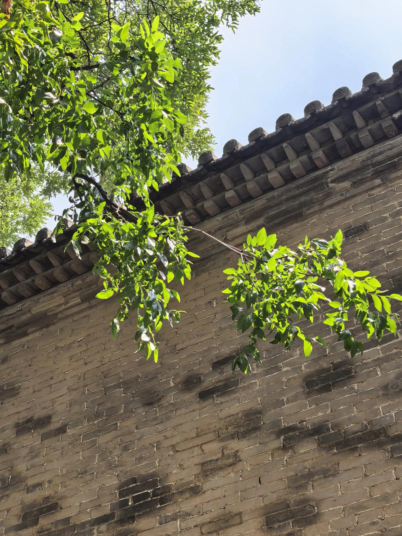 今早7点起床，老公陪我8点前赶到医院，顺利办了住院手续，接下来就是做各种检查，具