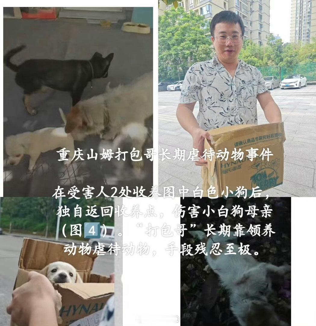 重庆山姆打包哥伪装领养虐杀动物天呐畜生吧 
