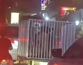 2026年1月6日晚，柬埔寨木牌街头，一辆三轮车拉着铁笼，笼内半蹲着数名男子，有