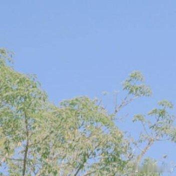 🍯 | zασαи温柔/有趣/不必太激烈三餐/四季/不必太匆忙💓 દ ᵕ̈ 