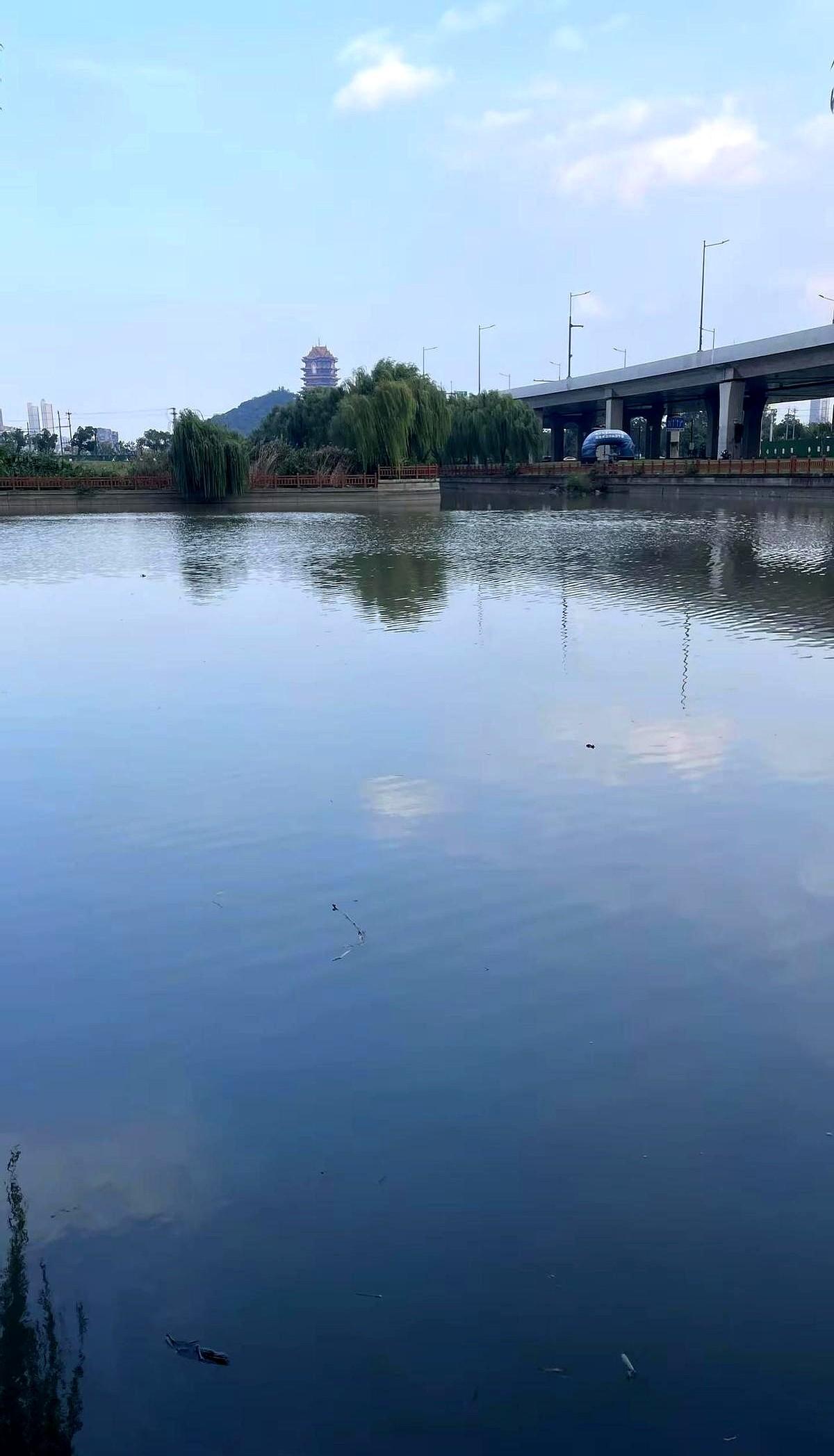 冷天半天没口？鱼躲哪儿其实早写在水里了！

降温了，水面凉，鲫鱼赶紧往2米下的坑