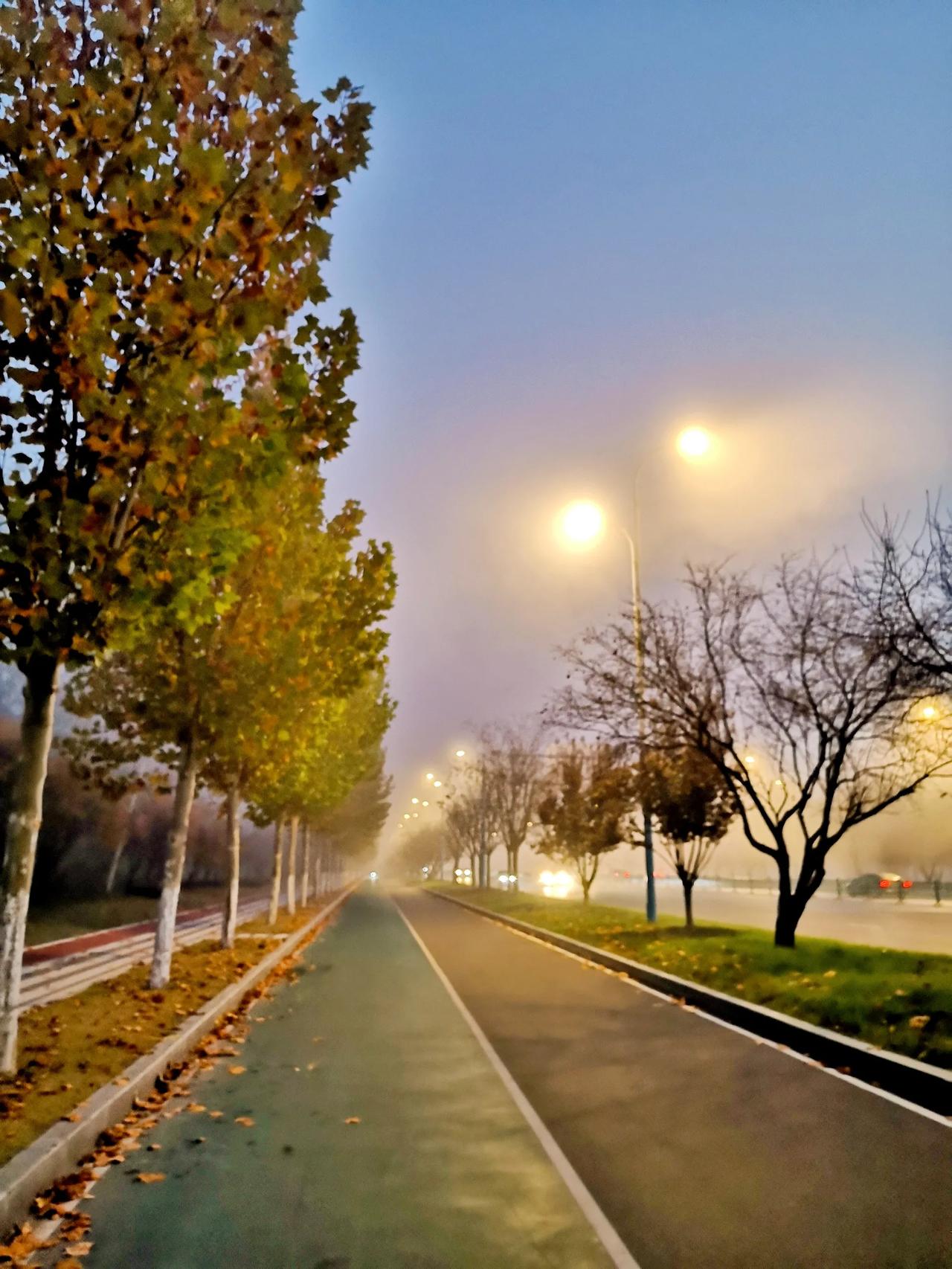 昨晚休息得特好，一夜沉睡未醒，感到特别解乏，今天跑起来感到轻松又畅快，真的棒极了