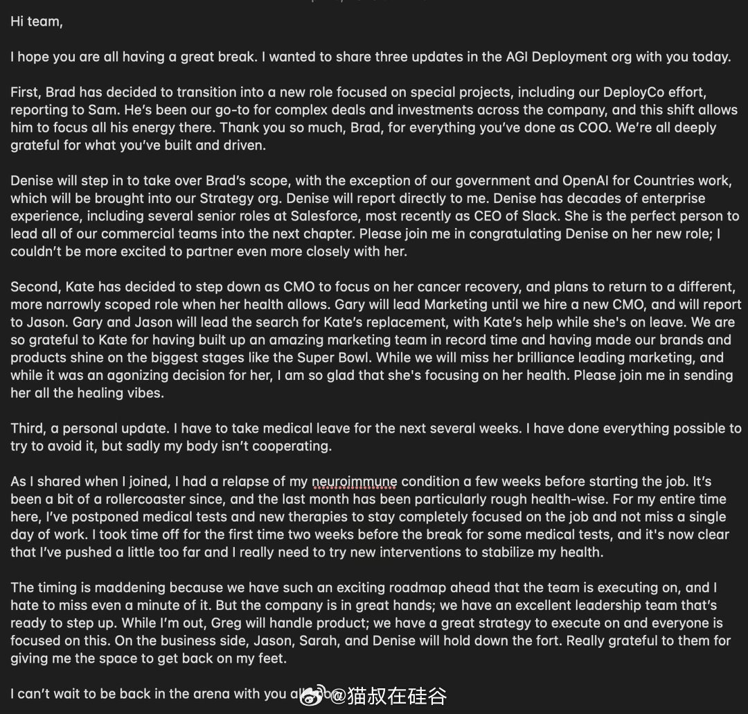 OpenAI 的应用业务CEO Fidji Simo 今天向全体员工宣布了高管人