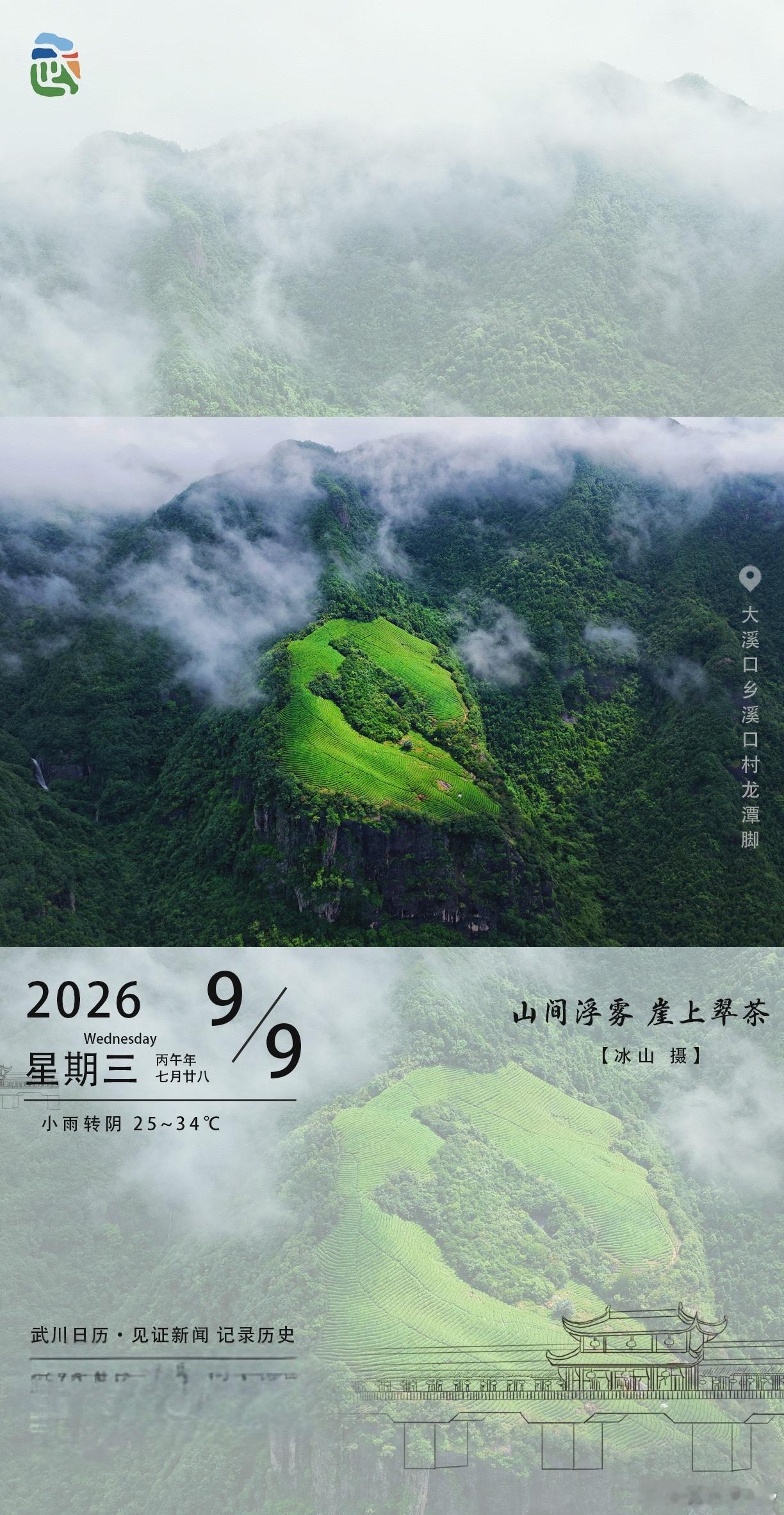 武川日历里的神仙美景今早被这张图美醒了！大溪口乡的崖上茶园，被云雾半遮半掩，像极