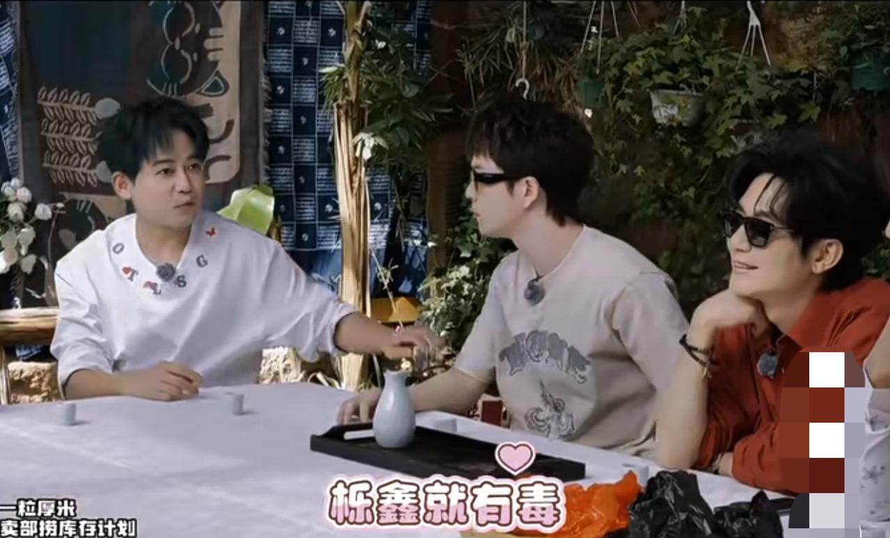 苏醒竟然说王栎鑫🈶毒☠️。
哈哈哈，刷到了《快乐老友·有风季》未播片段。
苏醒