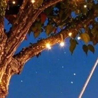 阳光信用  🍊阳光信用 🍊每日一善 做从未做的事，叫成长;做不愿做的事，叫改