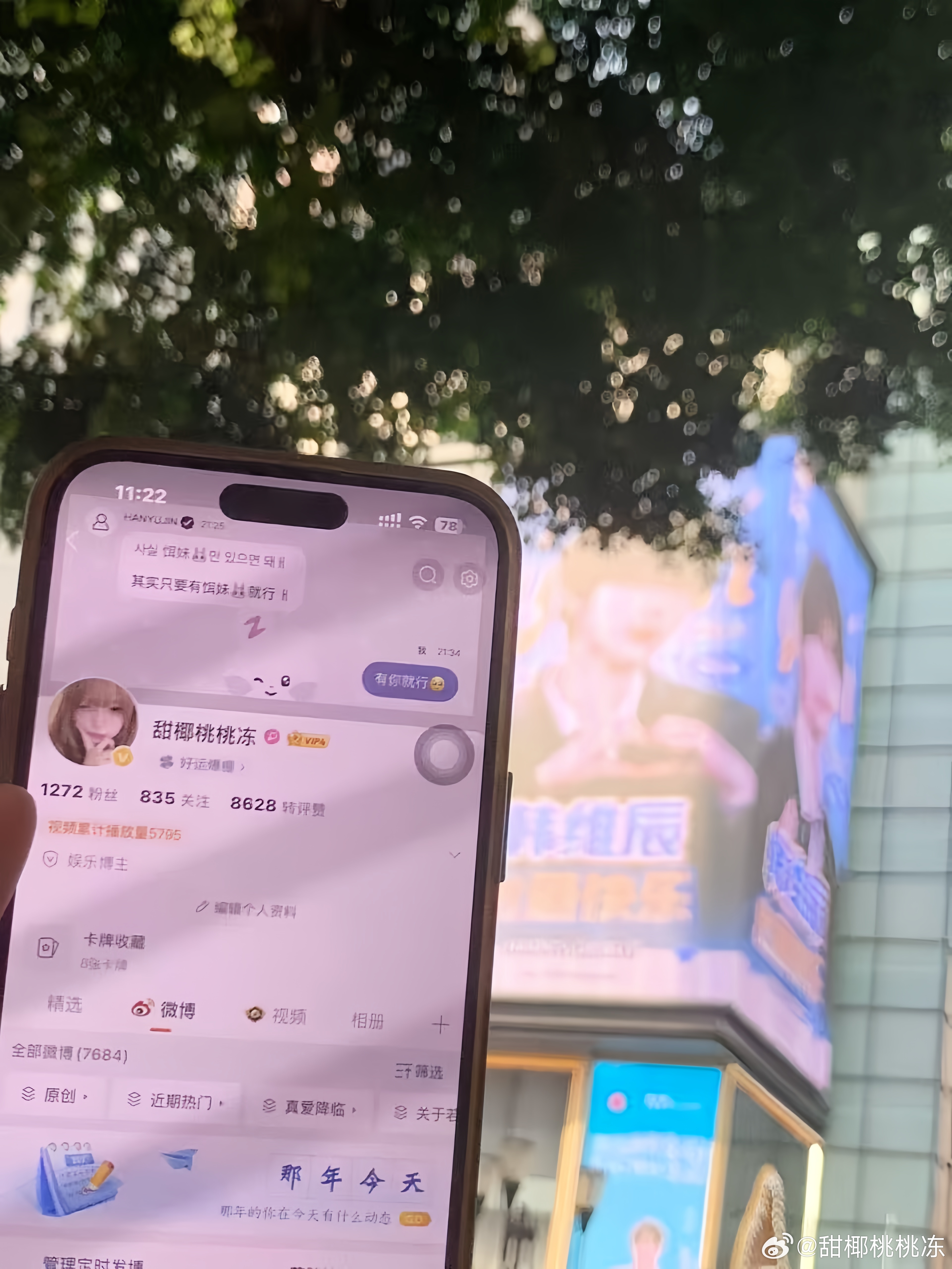 出道快乐友珍…🐰🐰  专栏 · 维辰♡˙˖Ი⁃ ω ⁃𐑼˙⋆