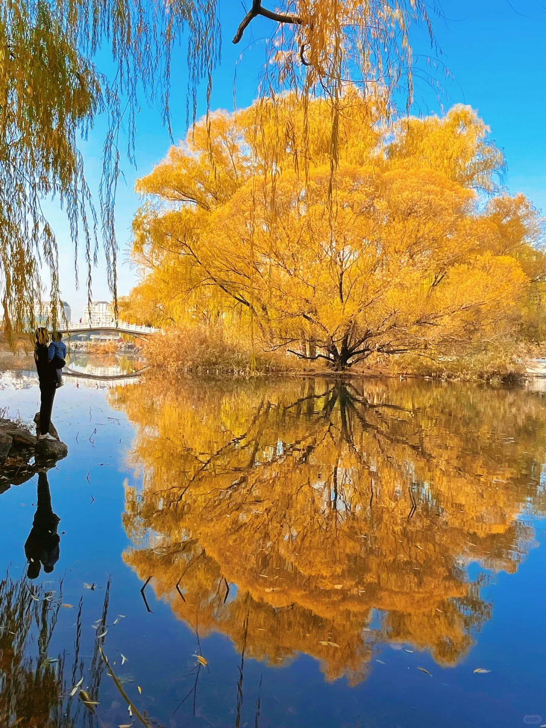 7天后的北京秋天就应该这样玩儿才算没白来