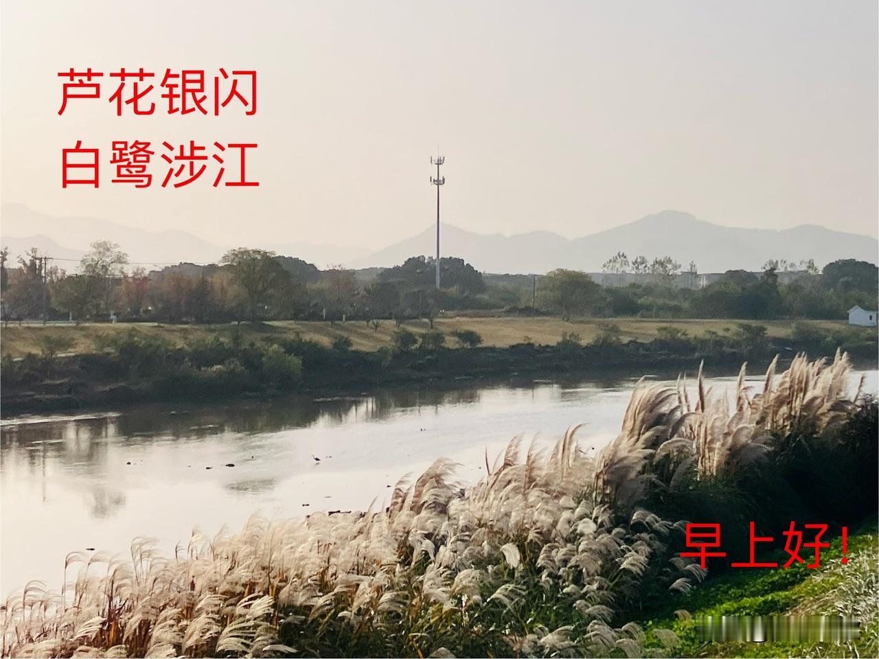 分享一张自然风景的照片，