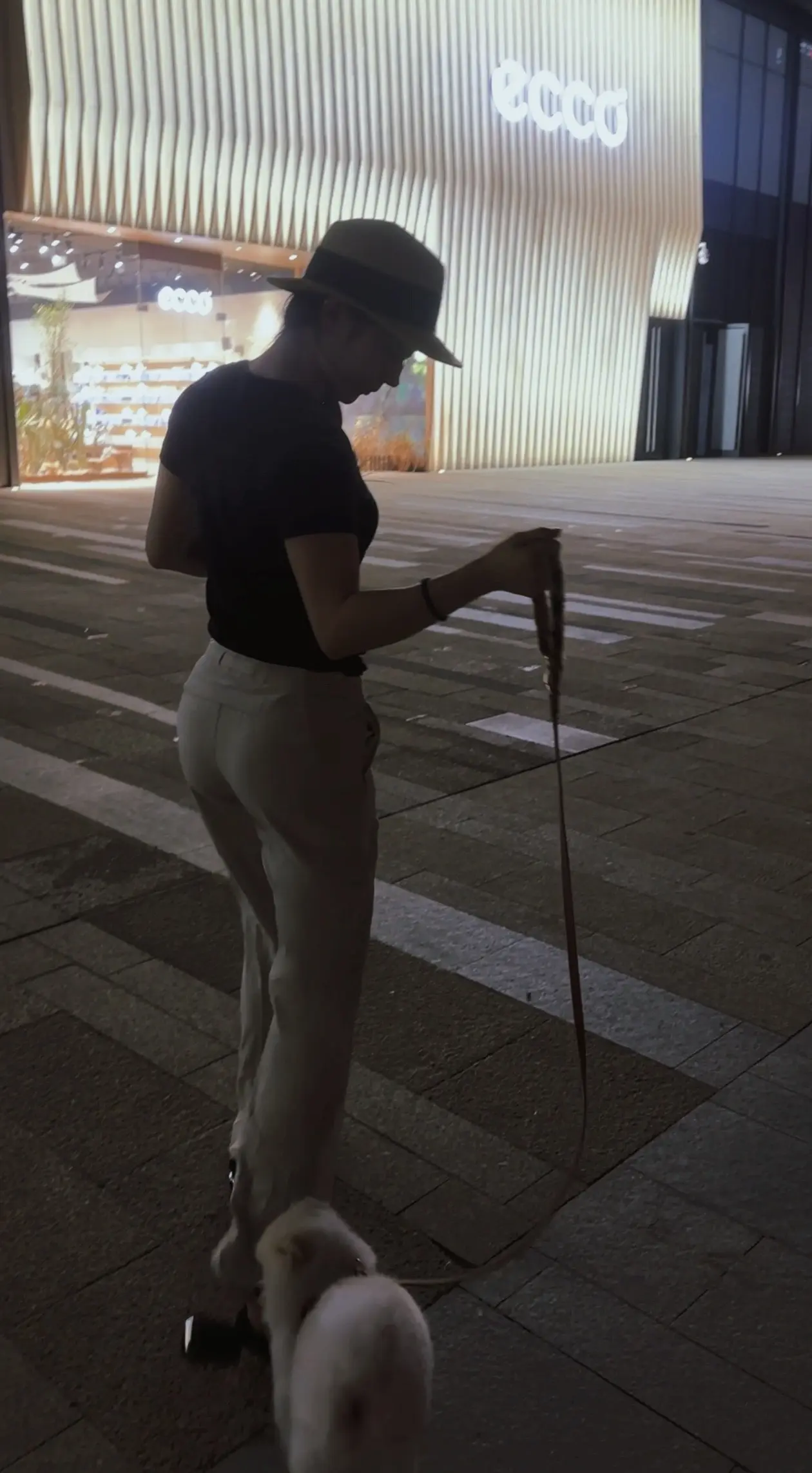和臭臭的每一天