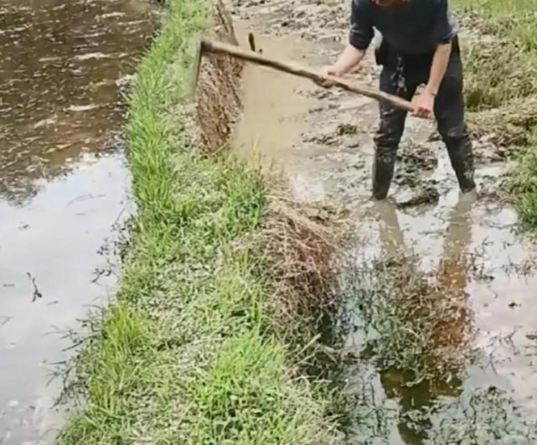 这应该就是人性的自私与贪婪吧？

这可真是，宁可坐失一分，也不放过一寸啊[笑]