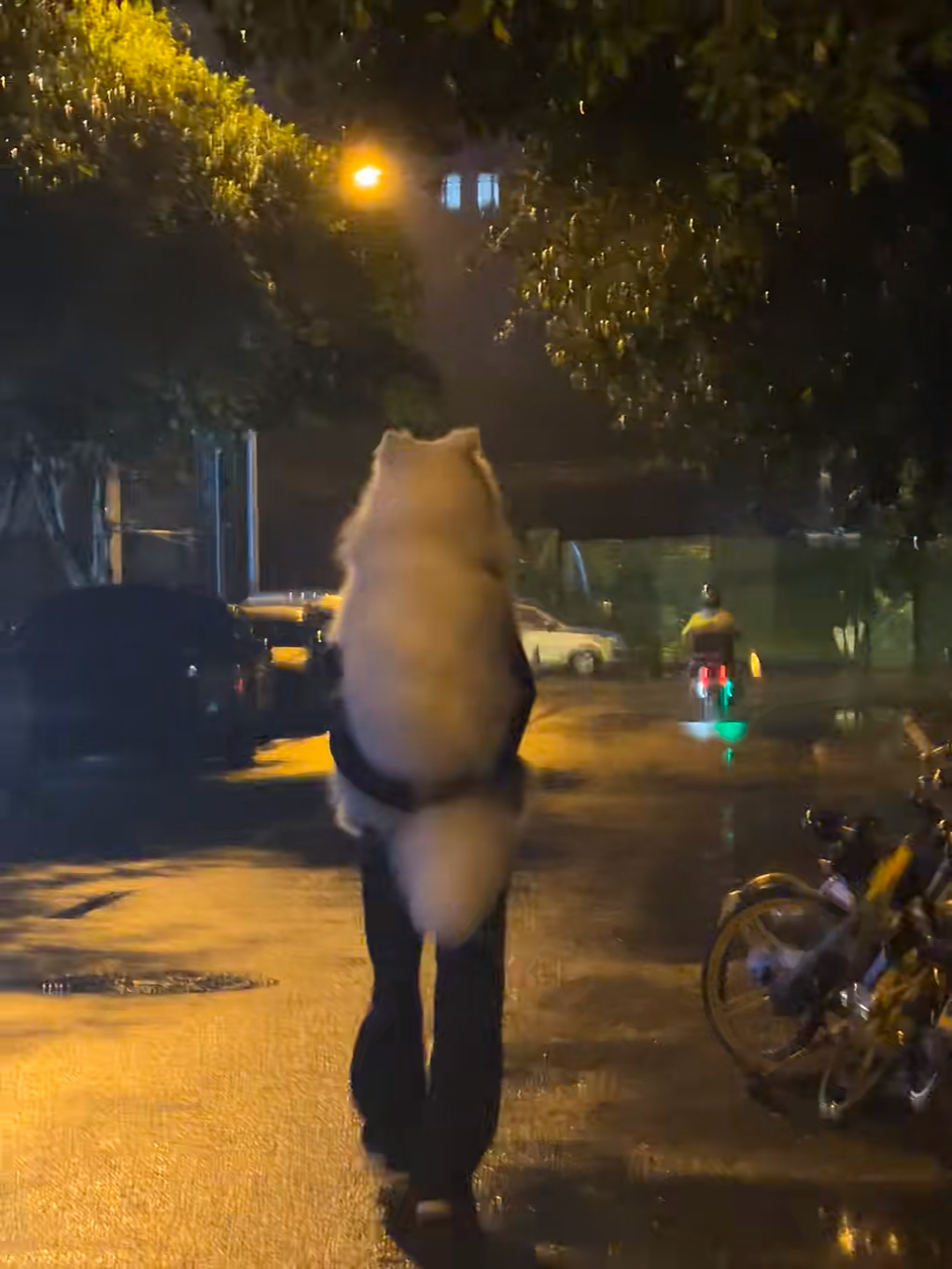 霖的背上有重量 
