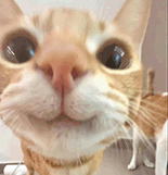 #从中国跑12600公里去巴黎有多震撼# 彩虹总在风雨后。跑步去巴黎的路上，我们