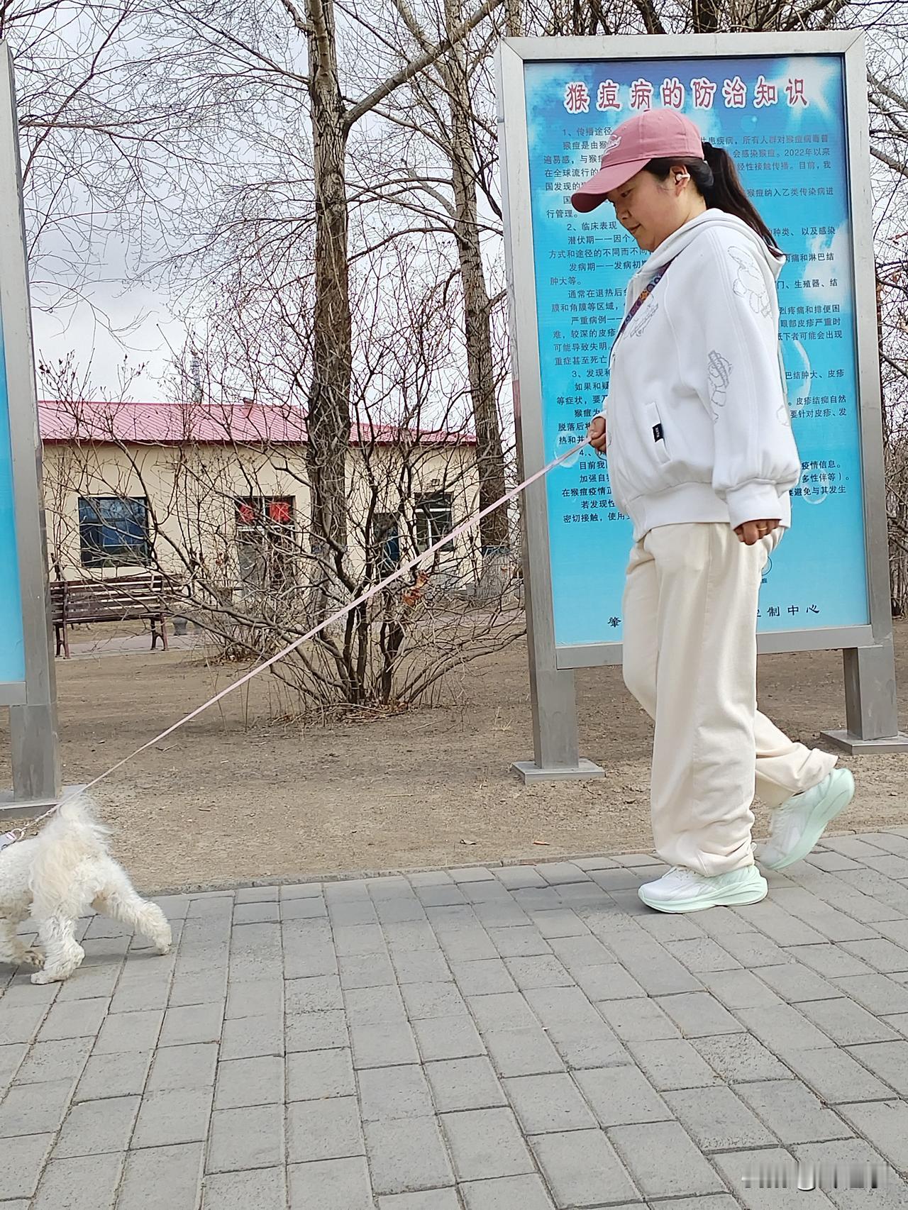 这里是黑龙江省肇东市南湖公园一角。
长堤上，游客如织，络绎不绝。既为赏景，更为散