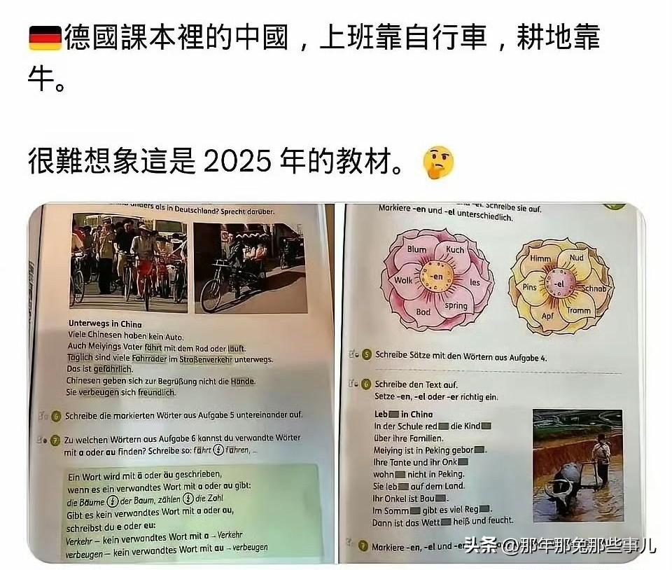 难怪老外来了一个比一个眼睛大，这是2025年德国的教材！

记得2000年左右，