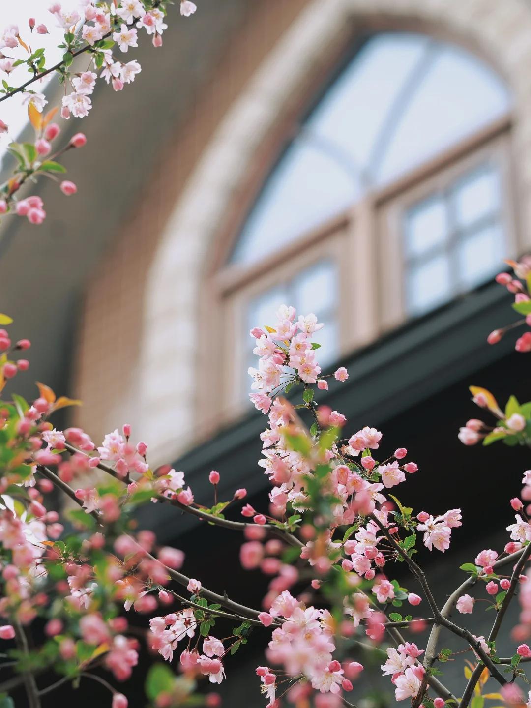 防泄密其实就抓两个核心：物理隔绝、技术防范，专门解决你担心的睡觉偷拍、无人机偷拍