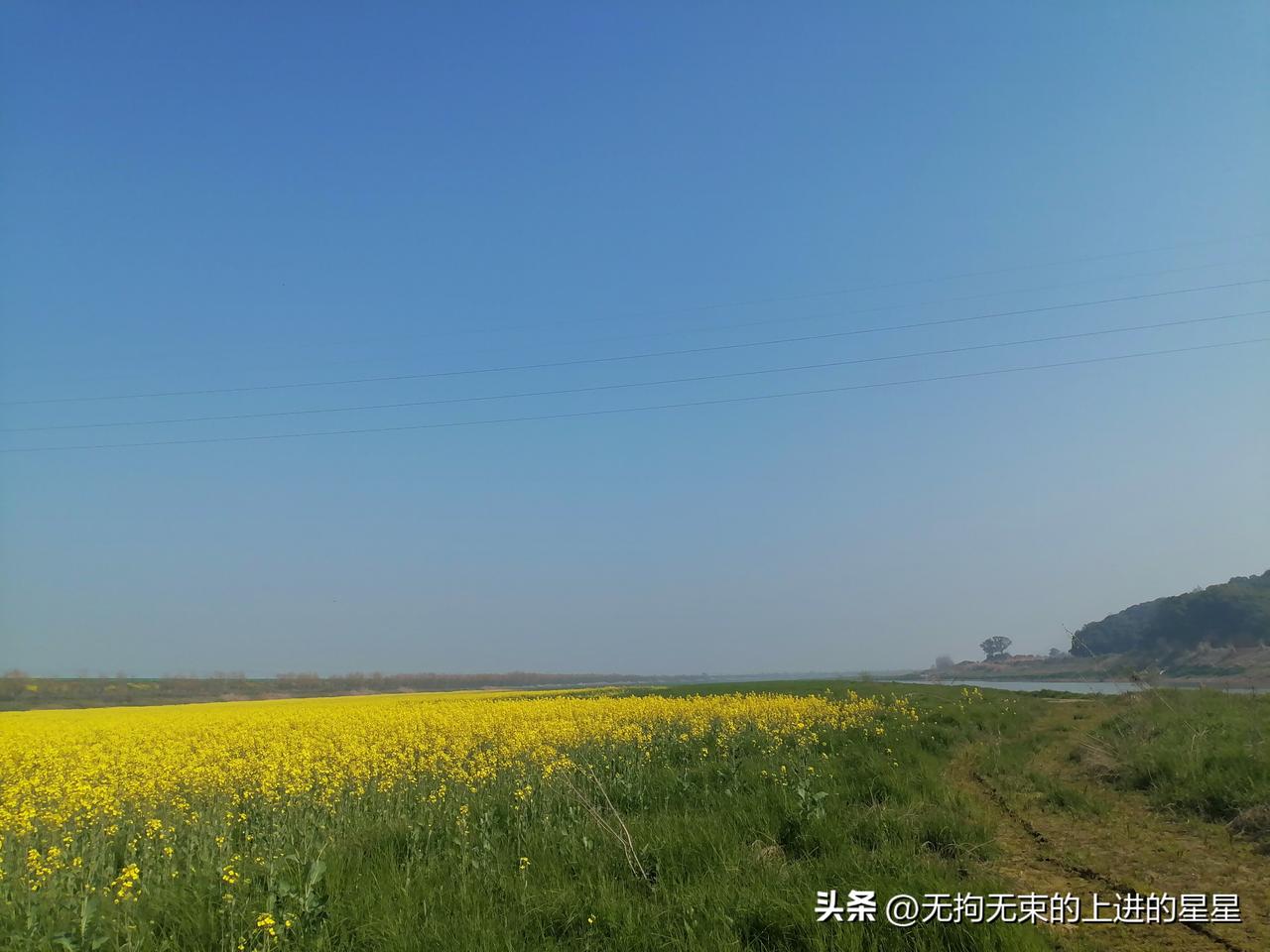 我们每个人在我们认知维度里，追求着自己的幸福[祝福]。
又是一年的油菜花盛开的季