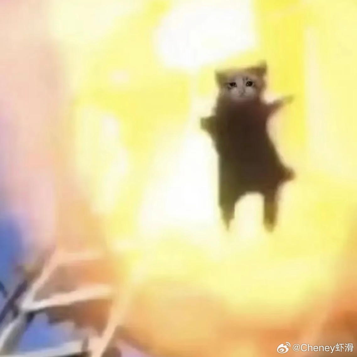 我好喜欢小红书啊，完全是靠人类伟大经验，纯手搓出来的搜索引擎。连我上次在高铁换乘