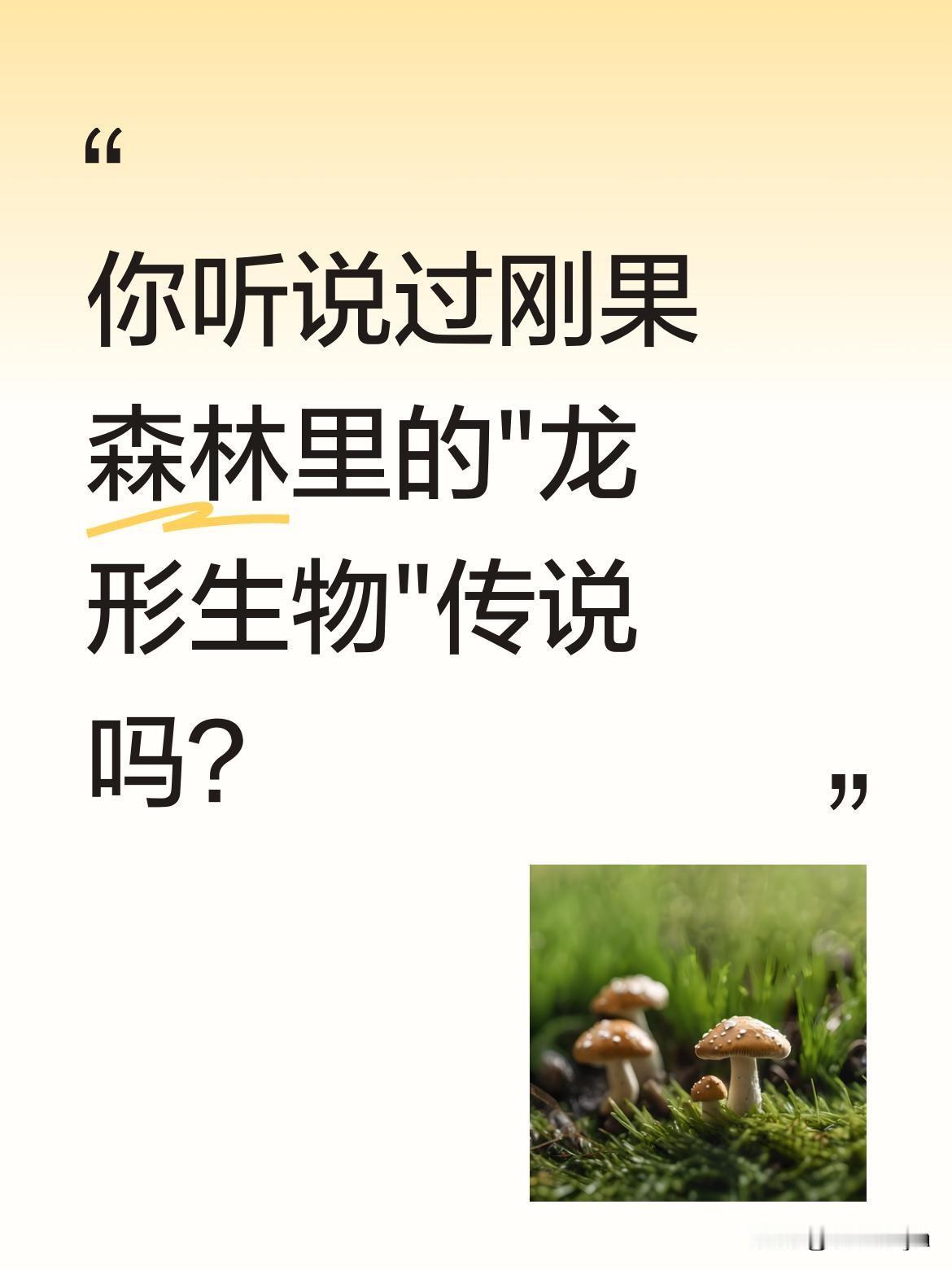 你听说过刚果森林里的"龙形生物"传说吗？
1959年，比利时空军上校雷米执行任务