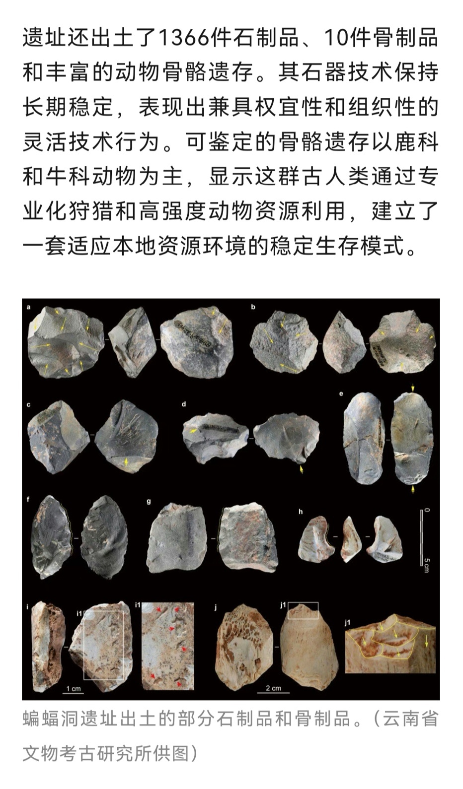 勒瓦娄瓦、阿舍利，尼安德特、丹尼索瓦，前面两种技术预制加工、对称形，我们的考古的