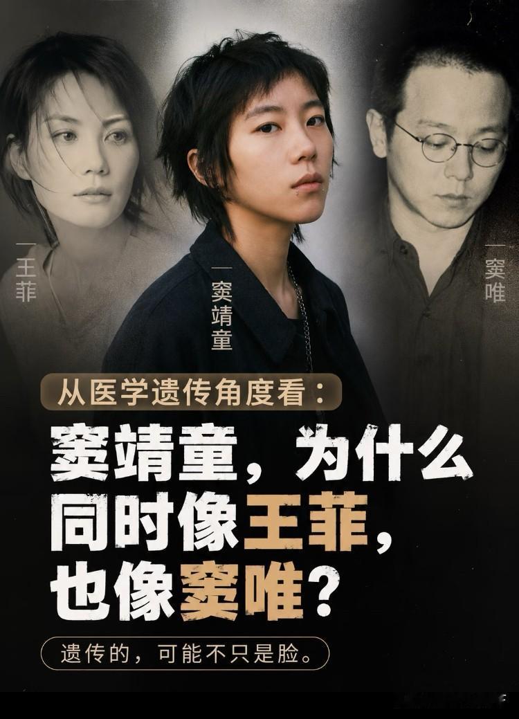 娱乐它就是个圈，
看起点就是看终点
绕来绕去又回到原点。

窦唯有个亲妹妹叫窦颖