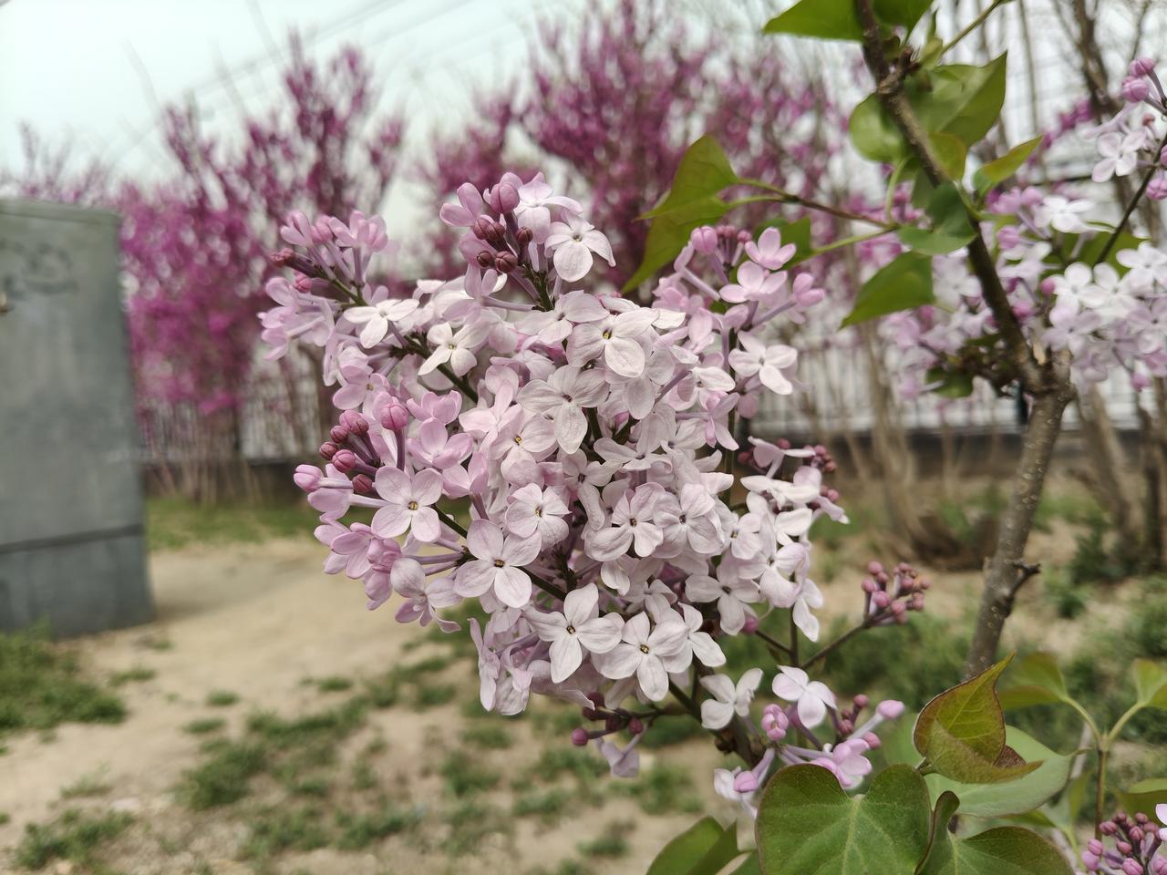 据说世界上最好的7种免费药：

1、下火的药：喝水。
2、保健的药：锻炼。
3、