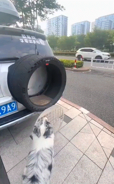 这一看就是个
很有爱心的人
一般人想不到[赞]