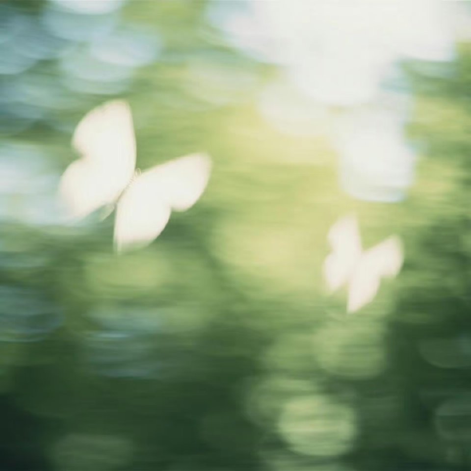 0000生活，需要一点阳光，生命，需要一些勇敢，纠结过去，担心未来，都不如抓住当