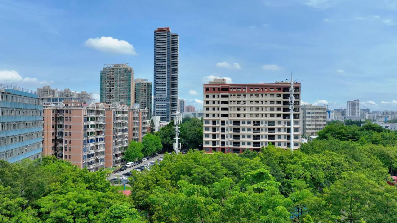 广州开发区西区扶胥古运河及周边道路沿线环境整治工程公示出炉，优化环境，提升西区道