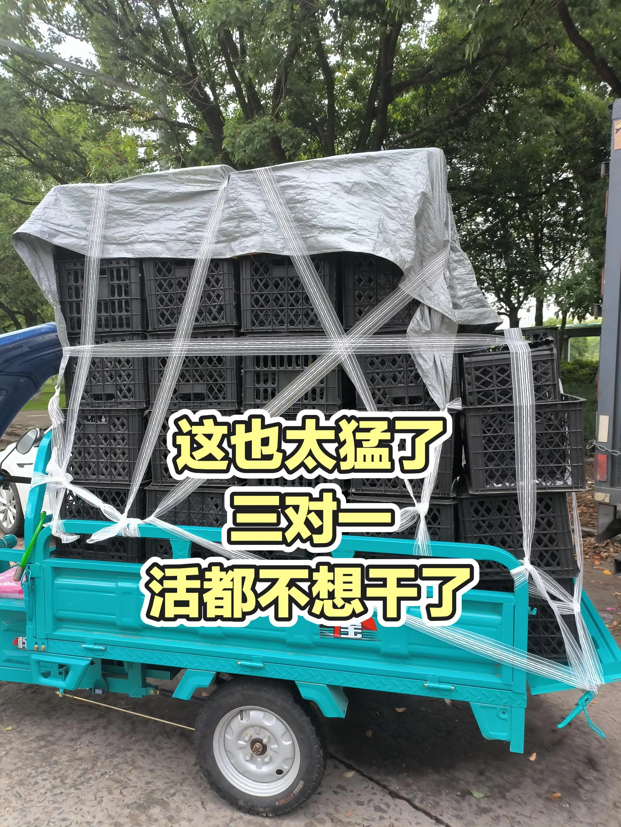 每日分享