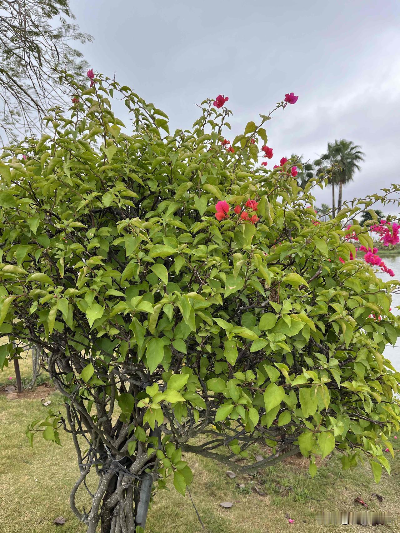 《资治通鉴》：改变命运最好的方式

就是换人！

我有个朋友，前几年混得特别差。