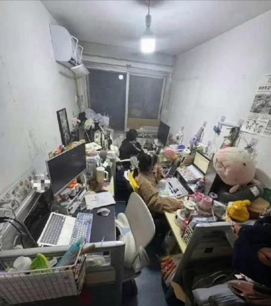 这环境，待久了能不生情？ 