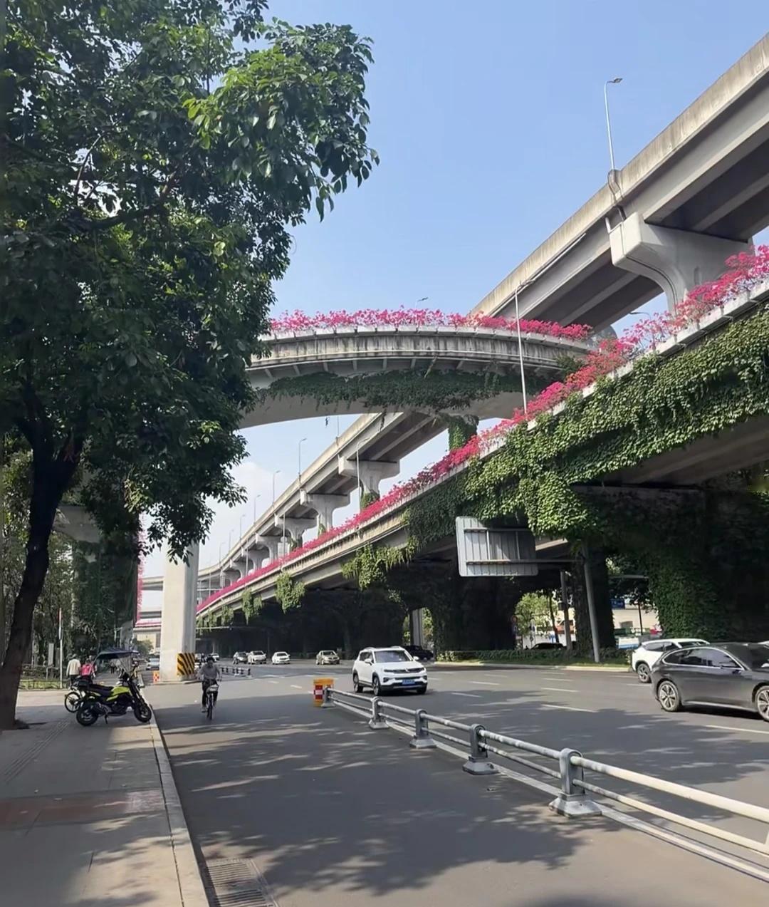 夏天的成都2环高架路上的春天 绿化带 我爱的城市自带BGM