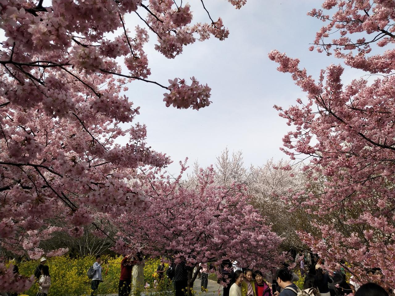我们现在过的有多幸福，看看我们的生活就知道了。

外面现在打的稀里哗啦。
我们现