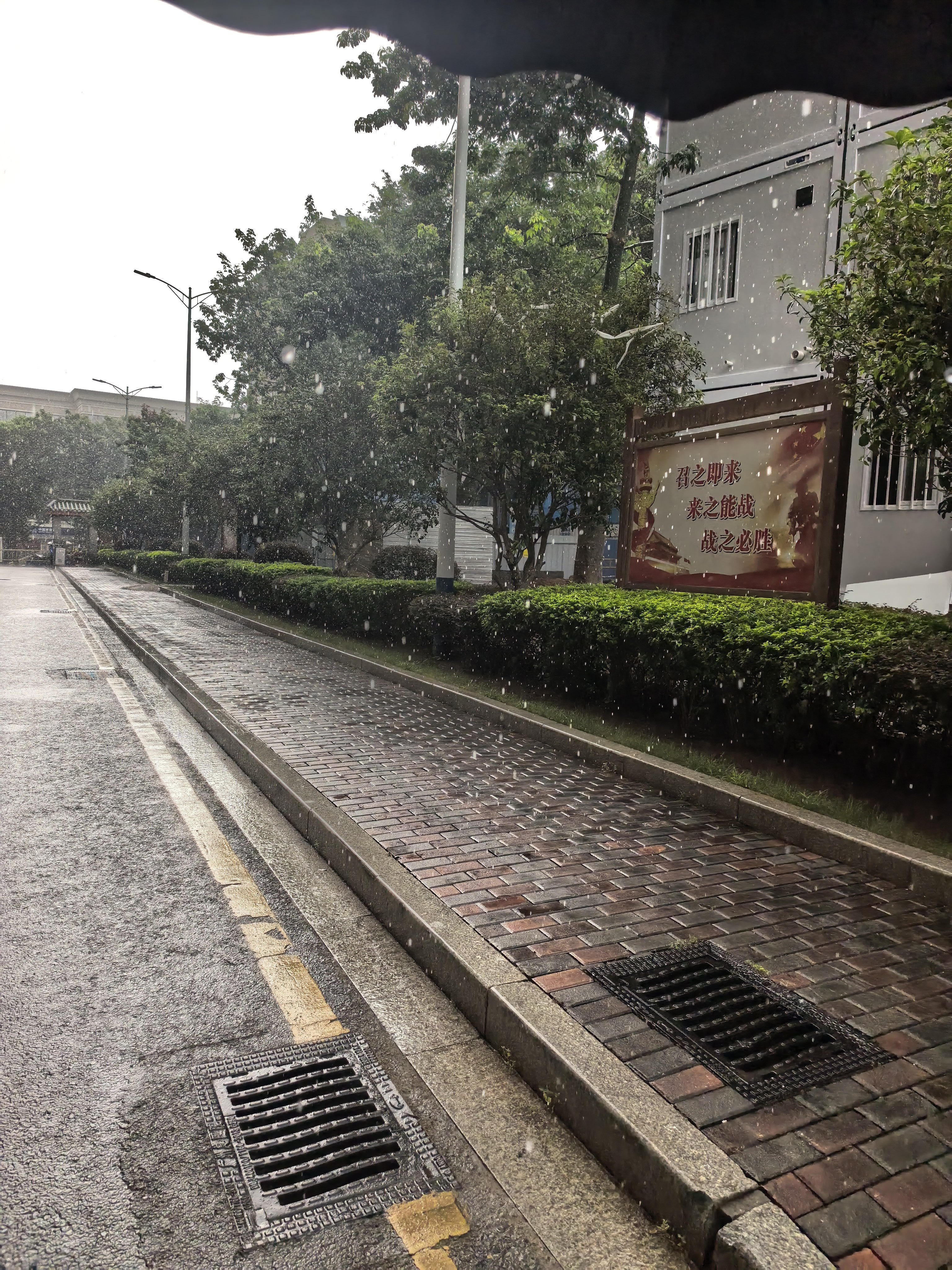 广州又又又又下雨了