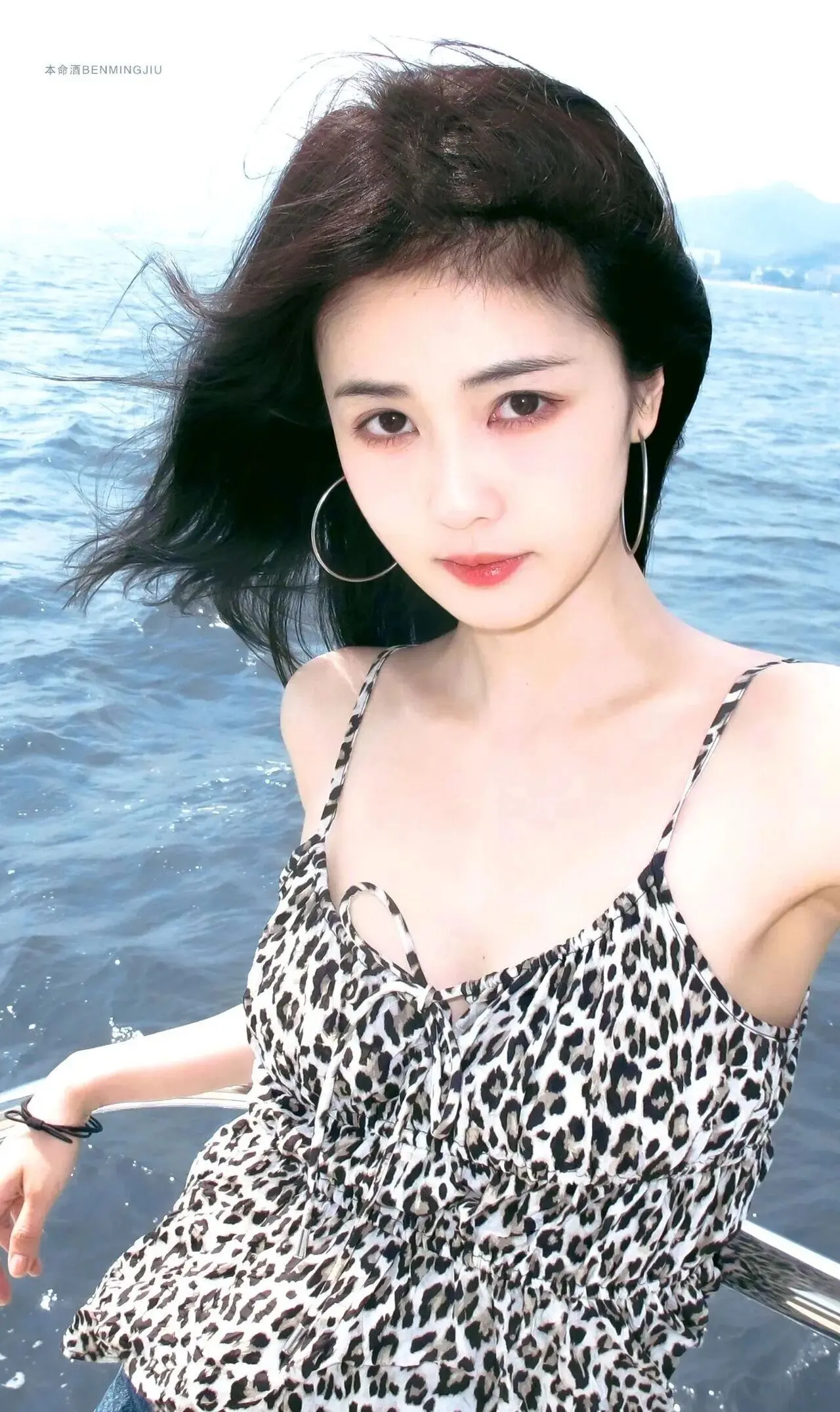 白鹿