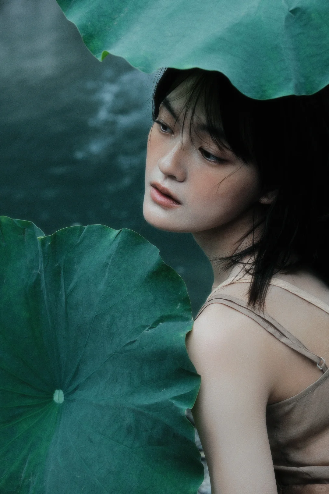 文淇 壁纸