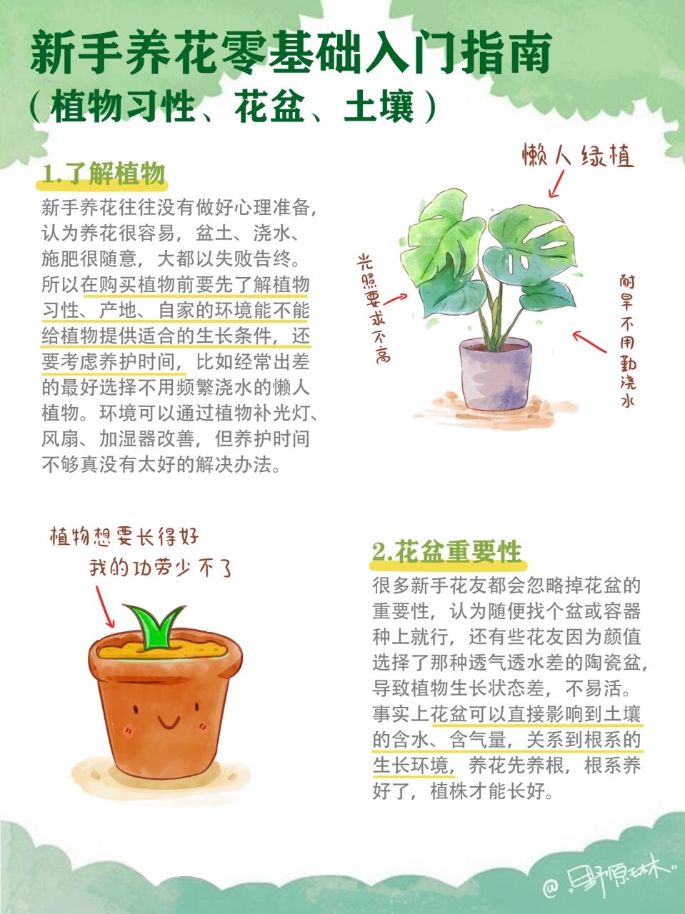 新手养花零基础入门指南