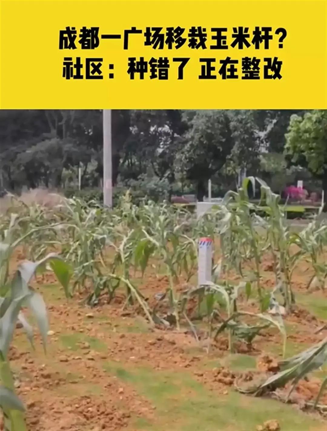形式主义太普遍了！形式主义害人不浅，老百姓要看到的是撸起袖子加油干的实干主义，而
