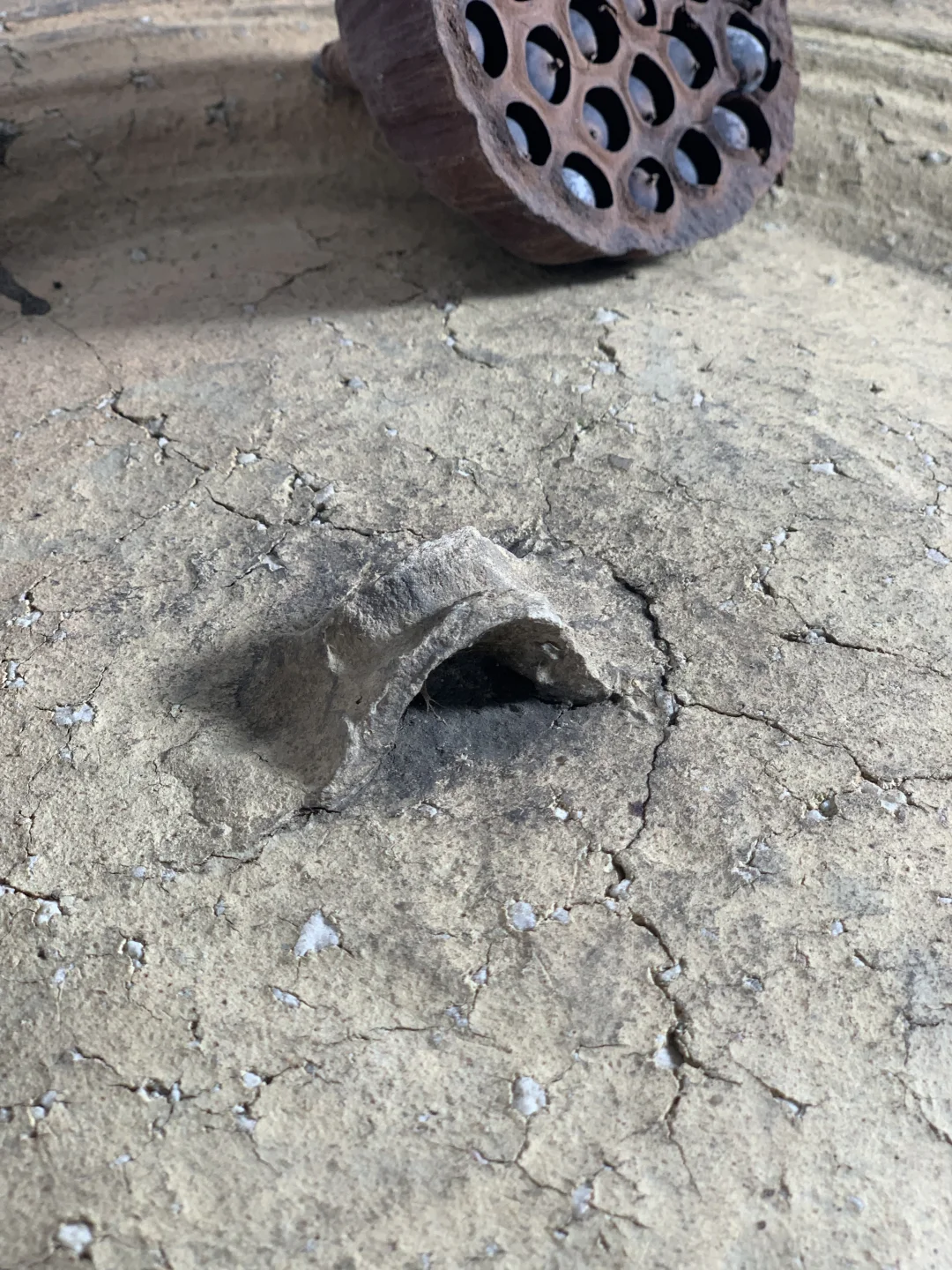 粗陶盘，大果盘、手工烧制，茶室侘寂摆件。